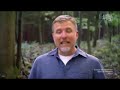 ANIMAL PLANET FOUND BIGFOOT