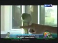 image 7 Aksi Lucu Hewan Cerdas On Spot Trans 7