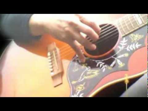 The Hummingbird Video