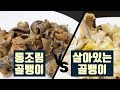 통조림 골뱅이 vs 살아있는 골뱅이 Canned sea snail vs Live sea snail