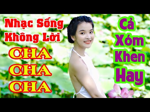 Nhạc Sống Không Lời Hay Nhất - ÂM THANH HAY LẮM LK Nhạc Sống Trữ Tình Cha Cha Cha nhactestloa27