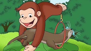 Curious George 🐵 We Otter Be Friends 🐵Compilation🐵 HD 🐵 Cartoons For Children