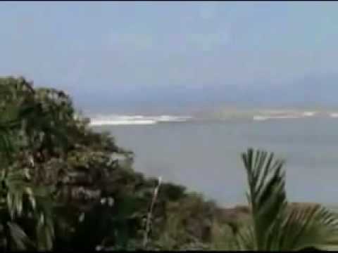 Live Hawaii Tsunami