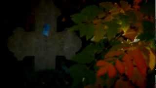 Watch Communards If I Could Tell You video