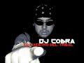 DJ COBRA CHUPA LA PALETA REGGAETON RMX