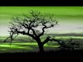 Pachelbel Canon D Best Version