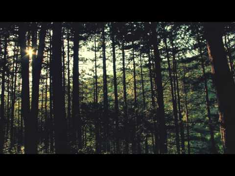 Time Flies Video