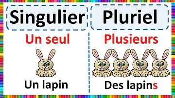 C'est quoi le singulier et le pluriel ?