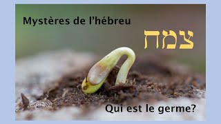 Mystères De Lhébreu Qui Est Le Germe ?