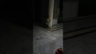 Cute Baby Child First walk.. | Firt walk of Life | Gift Of God "Daughter"