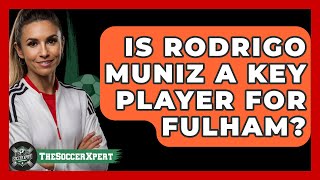 29Uote4o6NA Video Image