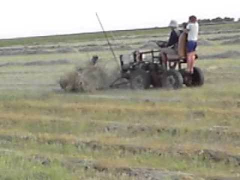 Гребка для сена видео