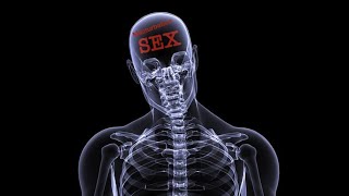 (Masturbation) Ein pervertierter Geist führt zu Krankheit - Teil 1 | A perverted mind - Part 1