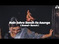Main Sehra Bandh Ke Aunga ( Slowed & Reverb ) Udit Narayan | Deewana Mujhsa Nahi | 90s Hindi Song