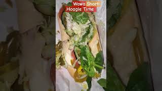 Vlog Wawa Hoagie...shorti