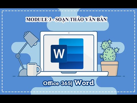 12. Tùy chỉnh tiêu đề (Header / Footer) và kỹ thuật chia Section