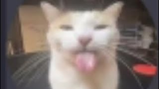Lacgsbtbw Use This