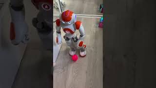 Nao V4 Humanoid Robot Kicks Ball Soccer Demo App