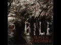 BILE - Celebrity