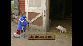 Charlottes Web - How Do They Do That? 2006