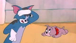 Tom And Jerry - Scream Compilation 2017