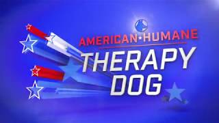 2017 American Humane Hero Dog Awards - Therapy Dog Category Aladdin