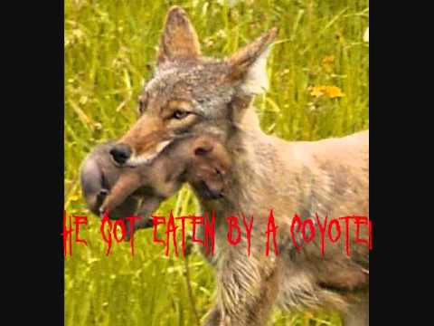 dead puppies song hqdefault jpg dead puppies song hqdefault jpg