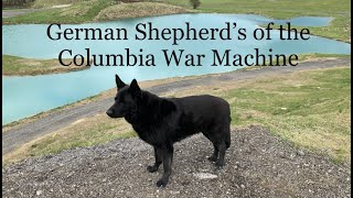 German Shepherds Of The Columbia War Machine