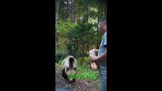 Best Fails