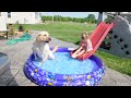 Ava and Sawyer taking a dip in the Pool