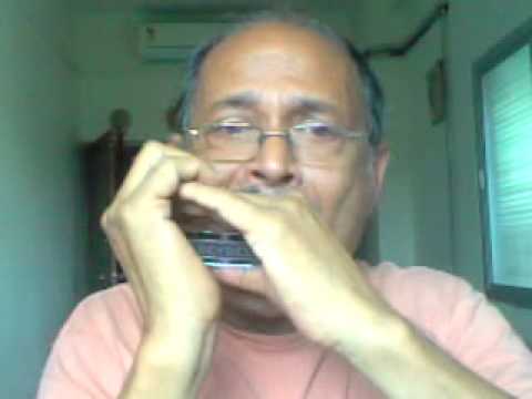 zindagi ke safar mein guzar jaate hain - harmonica