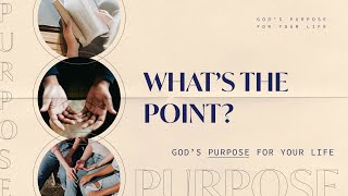 What's the Point?