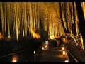 YouTube ユーチューブ 動画 旅行 京都 嵐山 花灯路 
