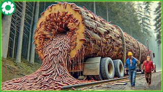 Extreme Dangerous Big Logging Wood Truck Driving Skill Biggest Heavy Machinery Machines