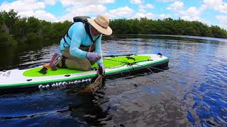 Dave Scadden's Grand Slam SUP on big Mangrove Snook
