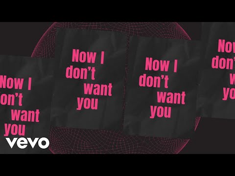 Riton, RAYE - I Don&#039;t Want You (Lyric Video)