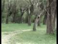 KOYUNBABA KÖYÜ - Film Yorum