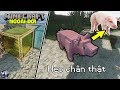 ĐỪNG Tải 5 MOD CHÂN THẬT Nàyyy!! Bạn Sẽ Bị Nghiện Lại Minecraft Đấy!!