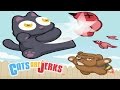Cats Are Jerks