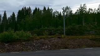 Timbertrain Herrhult Nykroppa