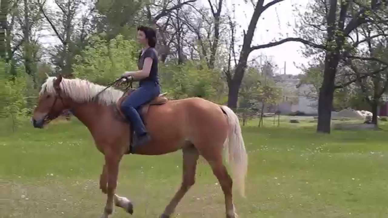 Зрелый Домашний Секс Верховая Езда