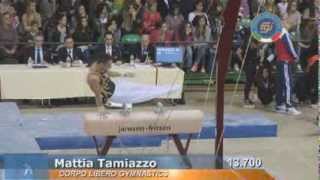 1 Prova Serie A M/F Firenze 8 febbraio 2014 1 Prova Serie A M/F Firenze 8 febbraio 2014