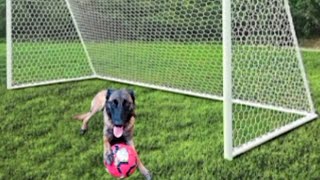 Live Foot Qui Va Gagner Moi Ou Kiara ?