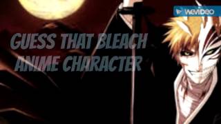 Guess that bleach anime character!?
