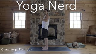 Yoga Push-Ups or Chaturanga