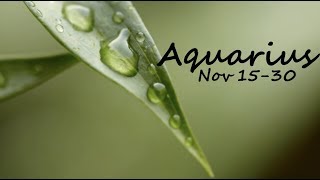 AQUARIUS Love Nov 15 30 2018 Wow, Wow, Wow the love!