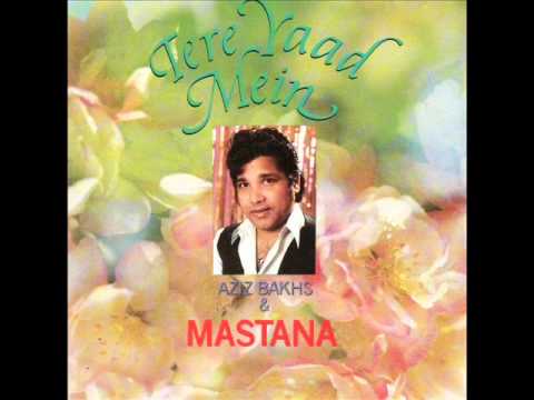 Naja Kahin Ab Naja- Tere Yaad Men.wmv