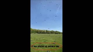 Arı Sürüsü Değil, Drone Sürüsü