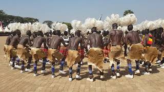Bwola - The Acholi Royal Dance