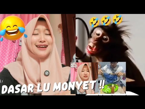 GOKIL kelakuan MONYET emang mau KENCAN✅🤣 Kumpulan Vidio Reaction Lucu #reactionvidio #fypviral 